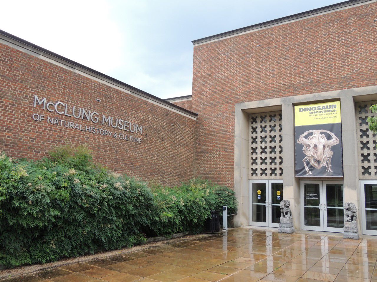 McClung Museum dino exhibit
